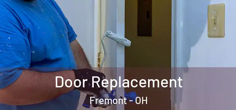 Door Replacement Fremont - OH