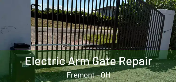 Electric Arm Gate Repair Fremont - OH