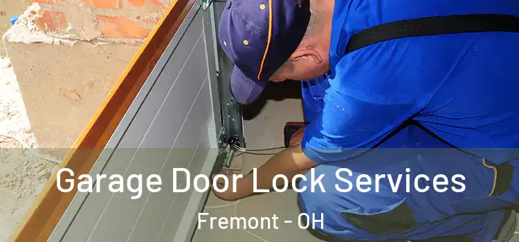 Garage Door Lock Services Fremont - OH