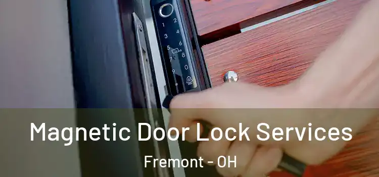 Magnetic Door Lock Services Fremont - OH